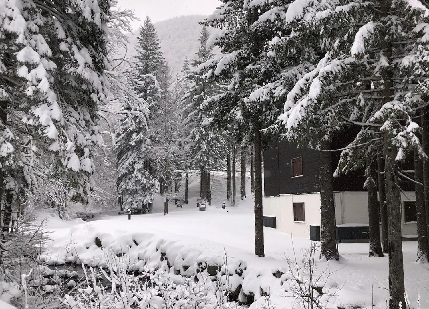 Appartamento Ruscello Sulle Piste Abetone Italy